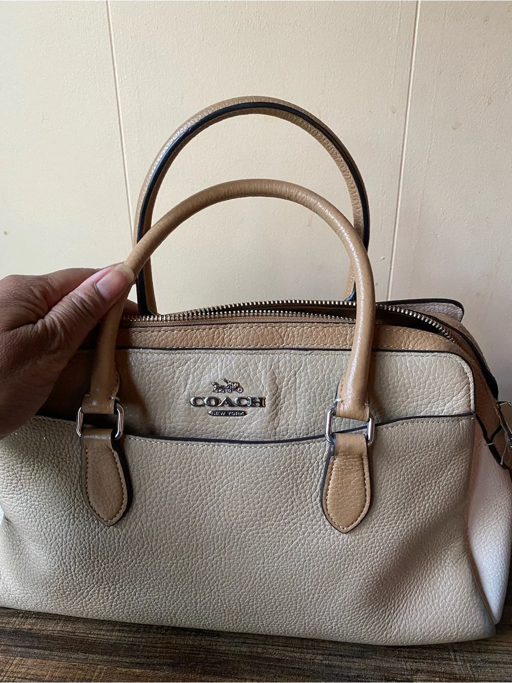 Coach Darcie Leather Carryall